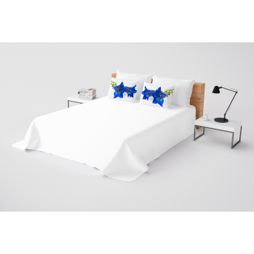 Bed standard size